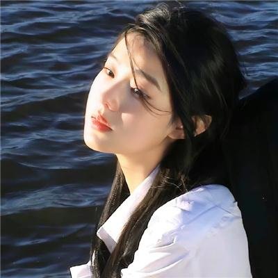 雁南飞